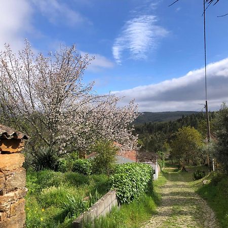 Bed and Breakfast House Of The Three Marias Pedrogao Grande Esterno foto