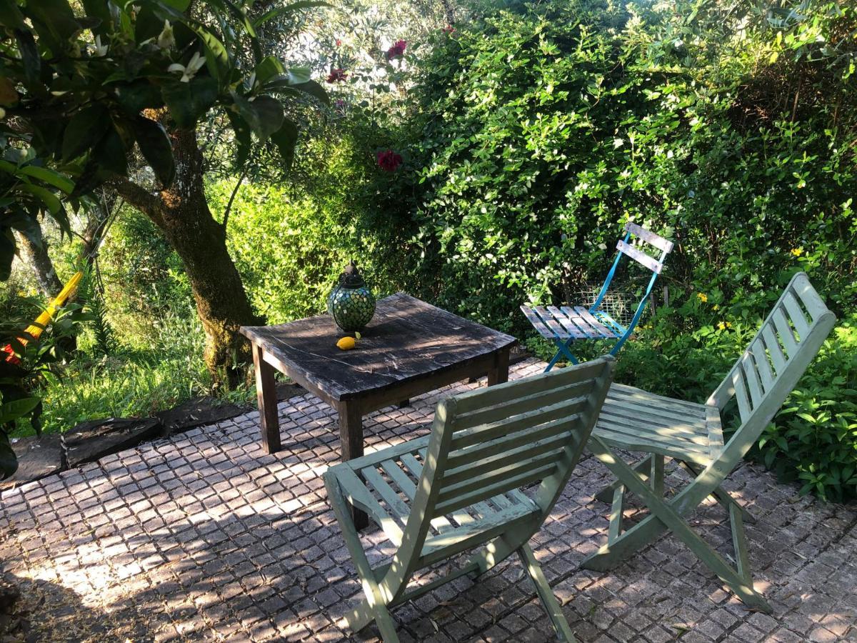 Bed and Breakfast House Of The Three Marias Pedrogao Grande Esterno foto