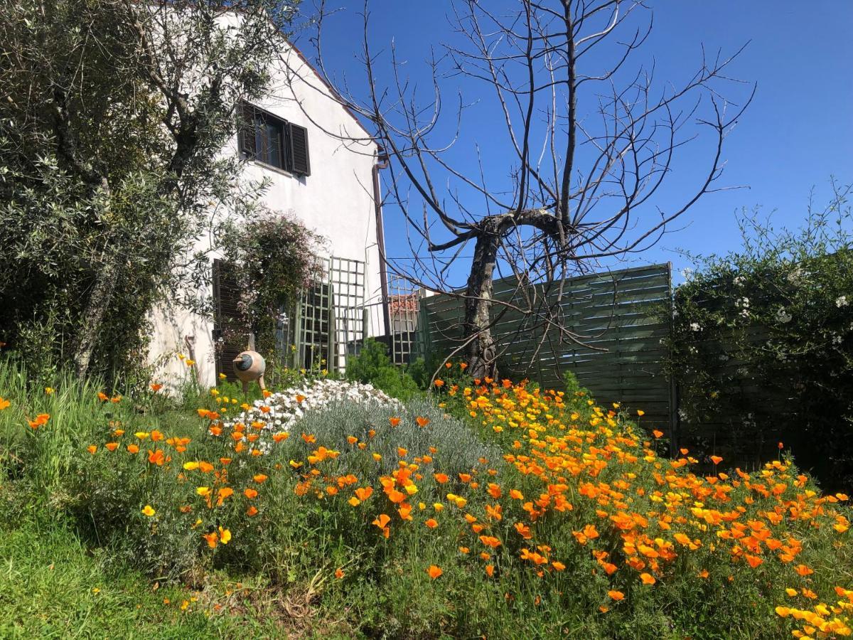 Bed and Breakfast House Of The Three Marias Pedrogao Grande Esterno foto
