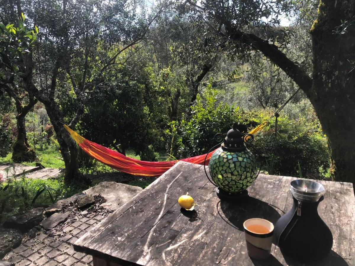 Bed and Breakfast House Of The Three Marias Pedrogao Grande Esterno foto