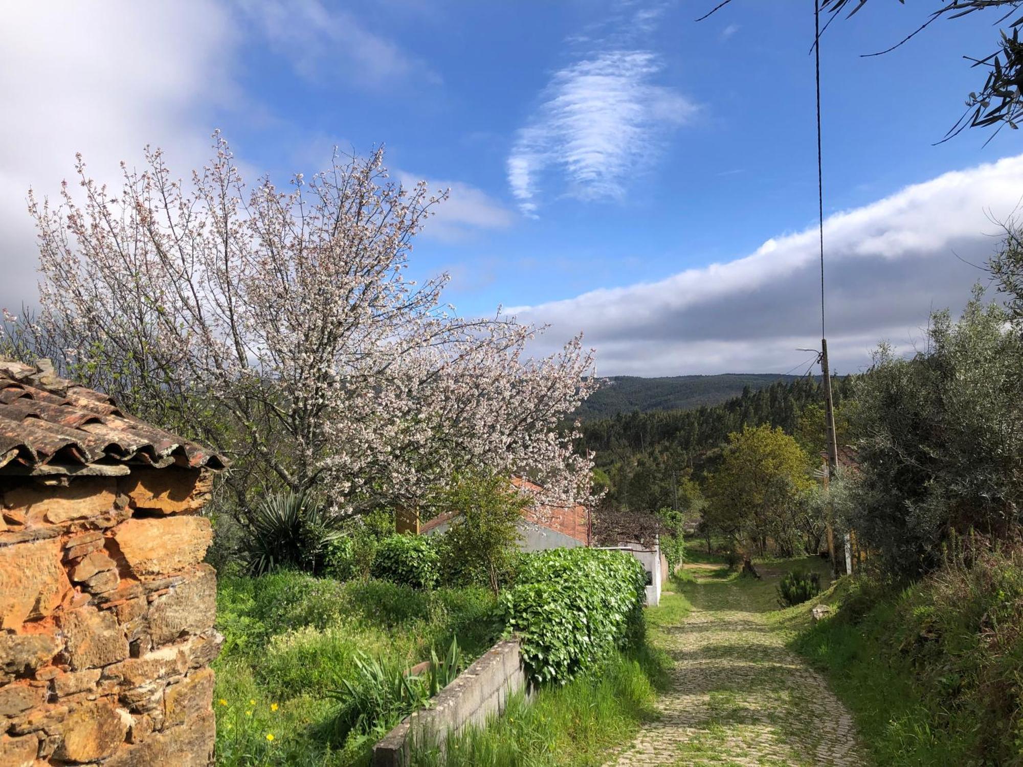Bed and Breakfast House Of The Three Marias Pedrogao Grande Esterno foto