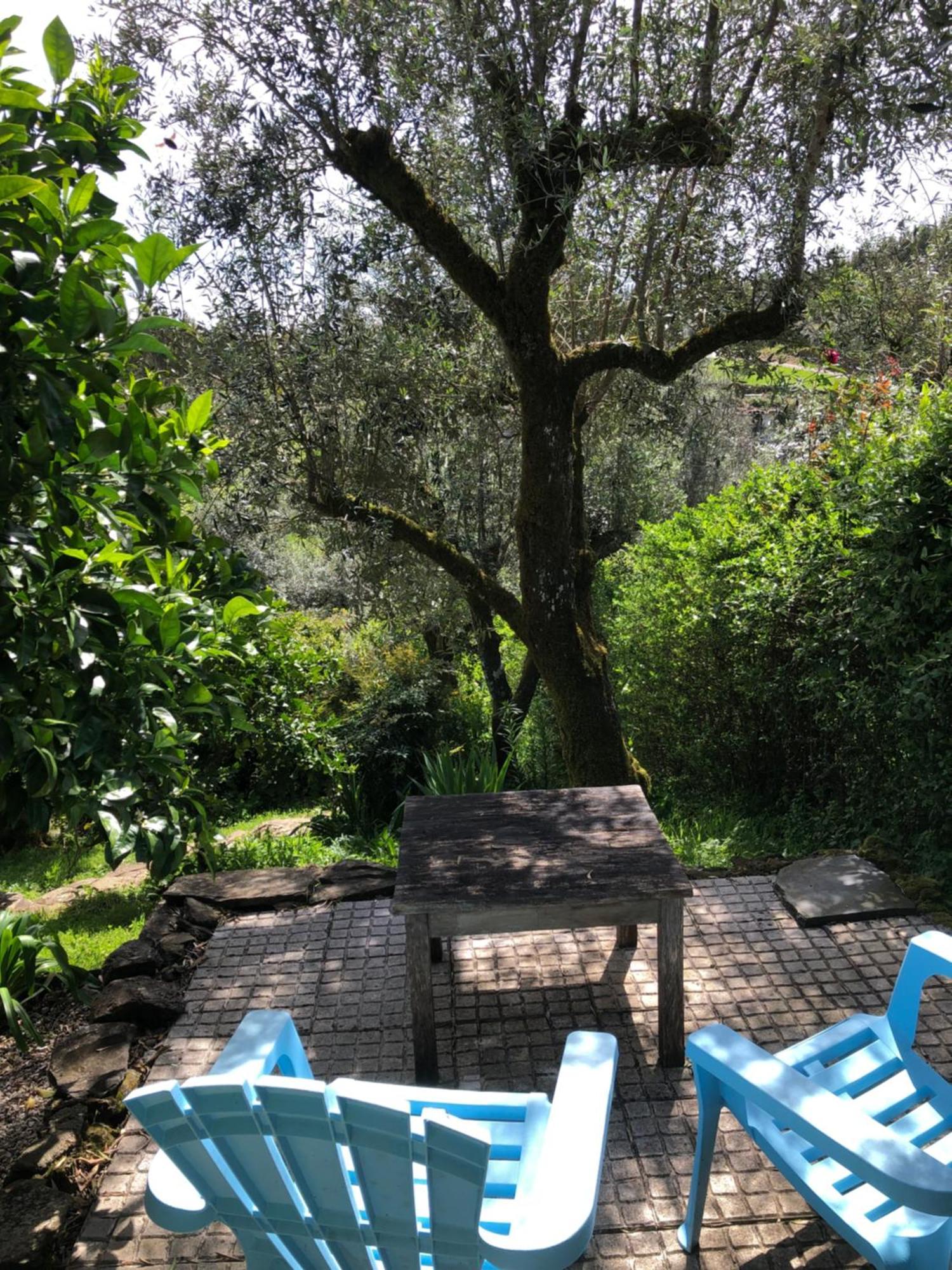 Bed and Breakfast House Of The Three Marias Pedrogao Grande Esterno foto