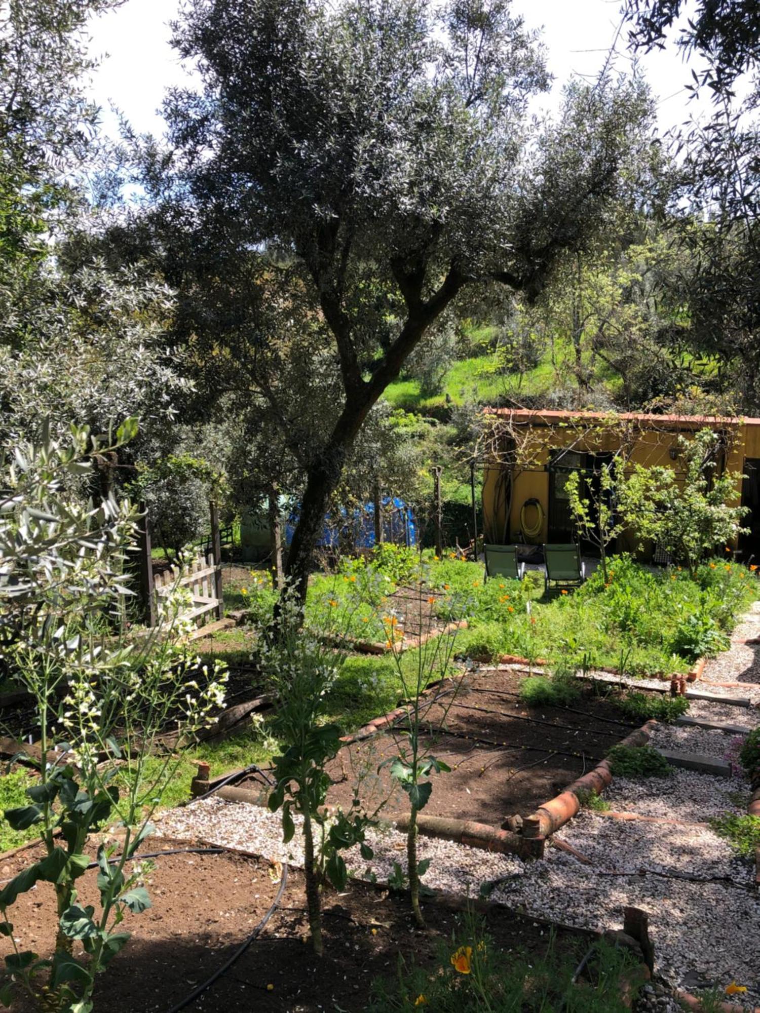 Bed and Breakfast House Of The Three Marias Pedrogao Grande Esterno foto